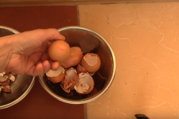 Как использовать яичную скорлупу в качестве удобрения